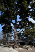Residence | Tamba Sasayama